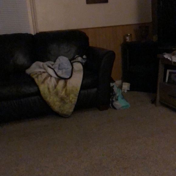 Meet your Posher, Sandy - Picture 1 of 1